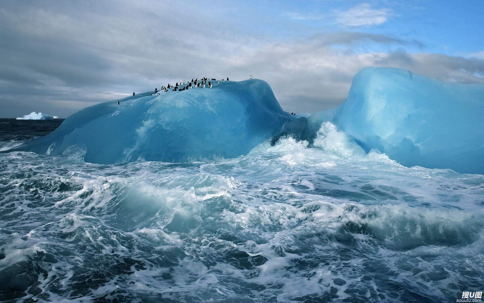 冰天雪地里的可爱小企鹅高清电脑壁纸图片套图12