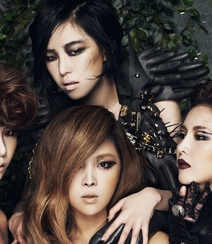 韩国热门美女组合《Brown Eyed Girls》组图6