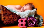 睡眠中的可爱宝宝图片（15p）组图2