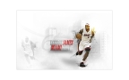 NBA双MVP王者-勒布朗·詹姆斯（LeBron Raymone James）1920x1080壁纸组图5