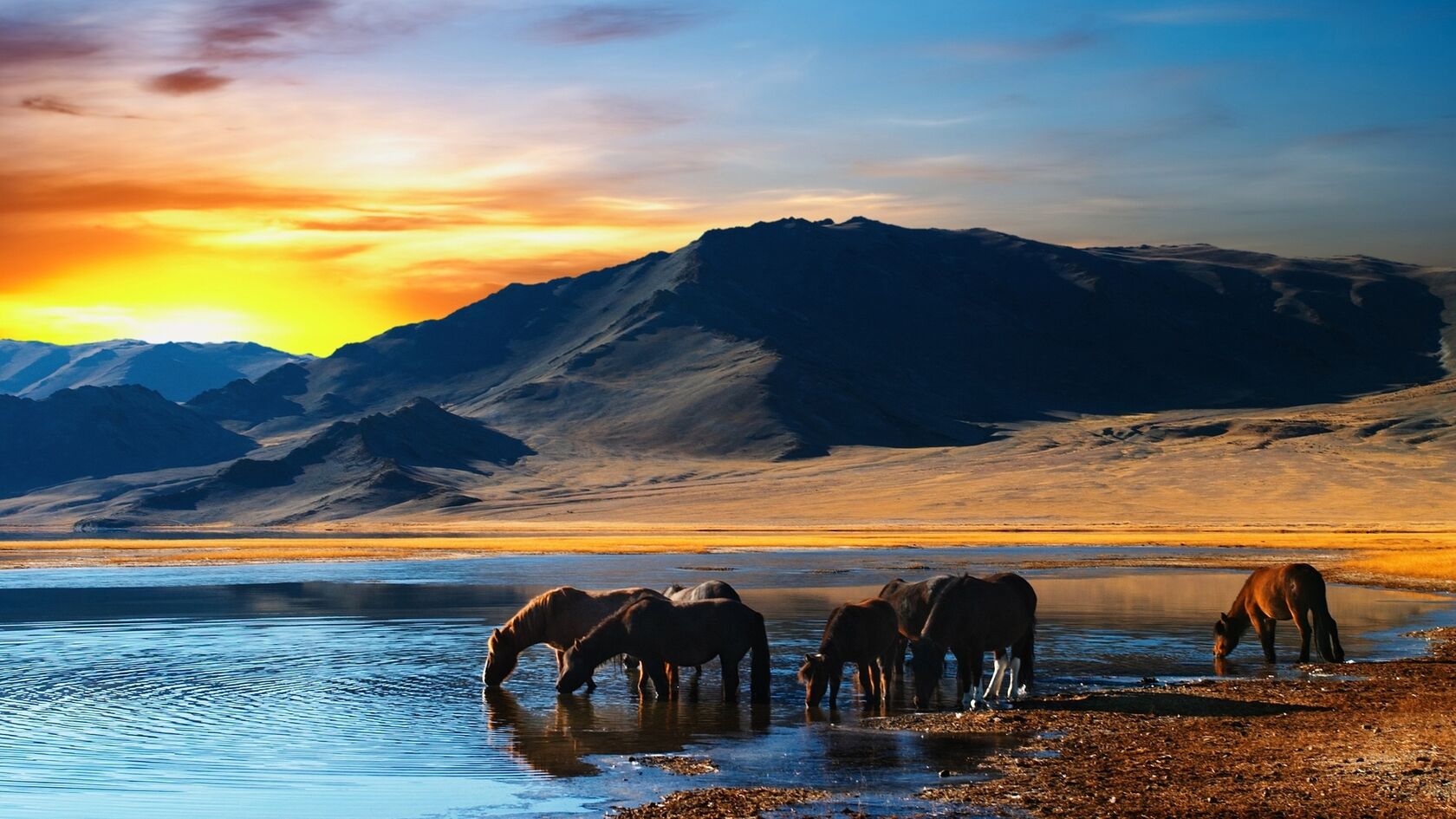 骏马流年高清1920x1080桌面图片套图3