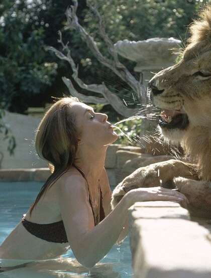 真实版《美女与野兽》-美国女星梅拉尼养狮为宠与狮为伴