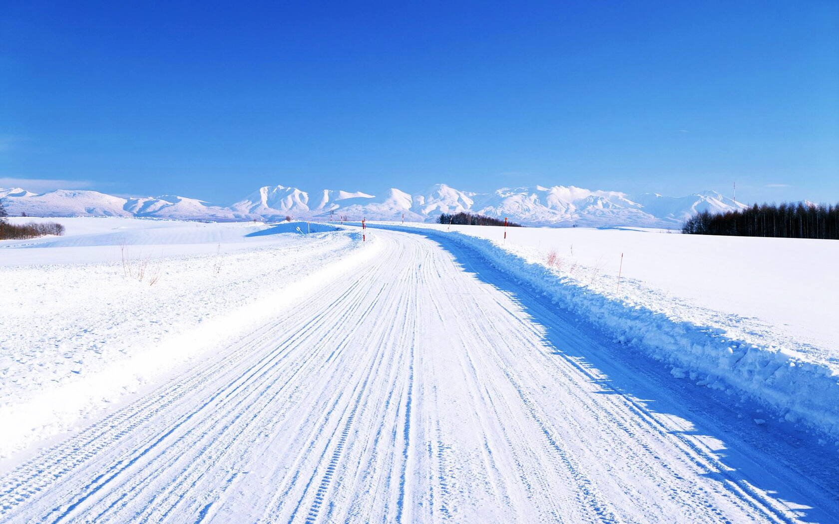 森林里的白雪电脑壁纸下载套图3