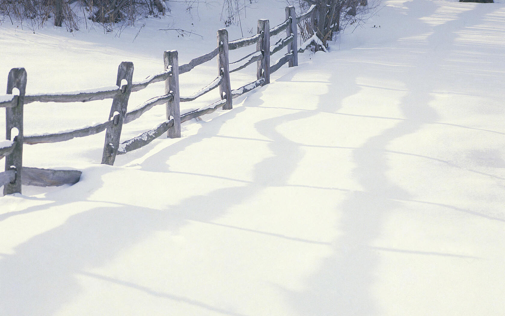 森林里的白雪电脑壁纸下载套图12