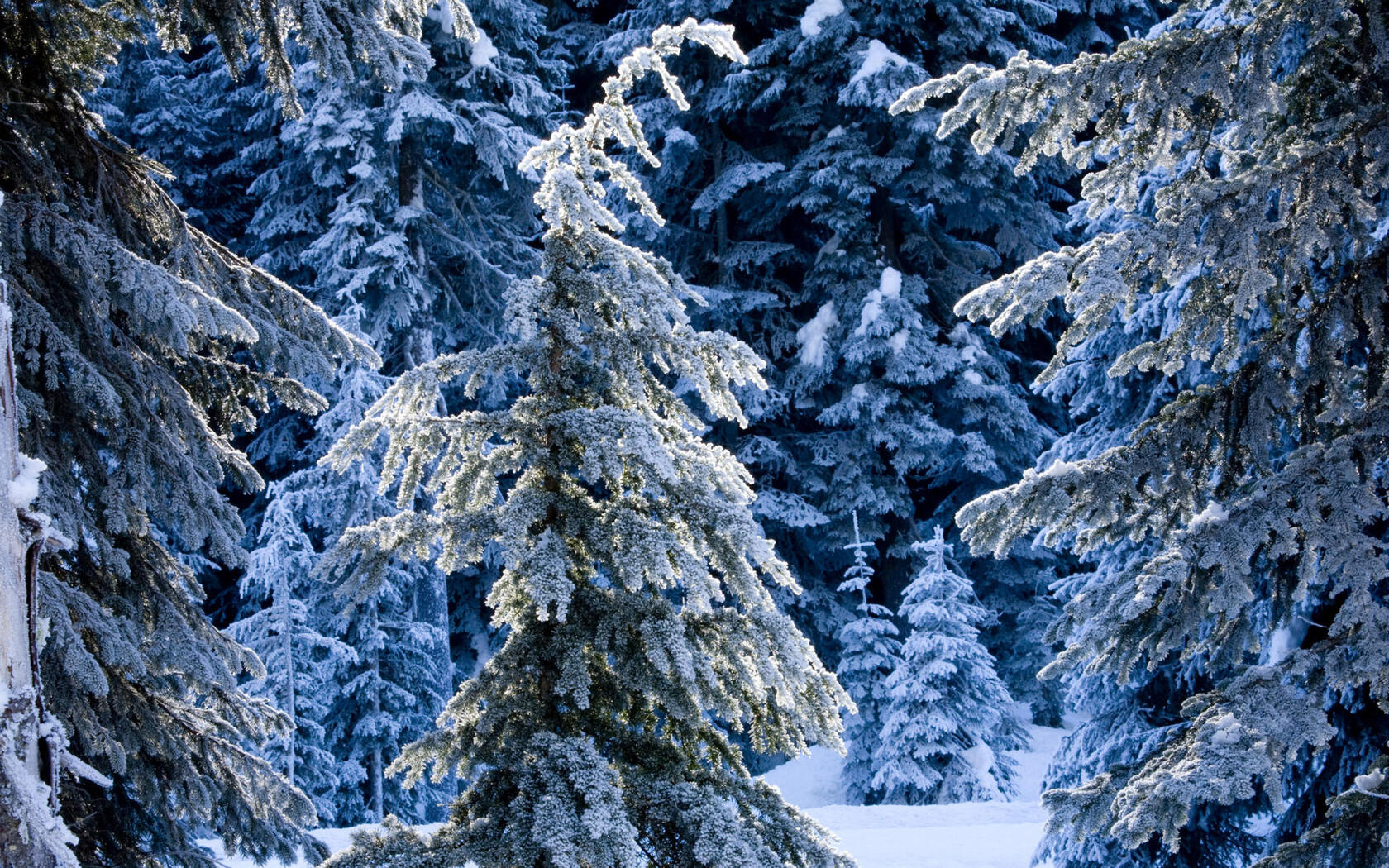 下雪了！白雪风景高清壁纸套图套图20