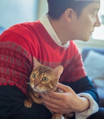 气质暖男黄轩写真大片，怀抱猫咪暖意十足