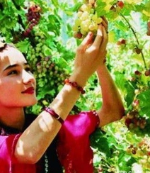 新疆美食图片素材-哈密瓜，葡萄，烤全羊组图5