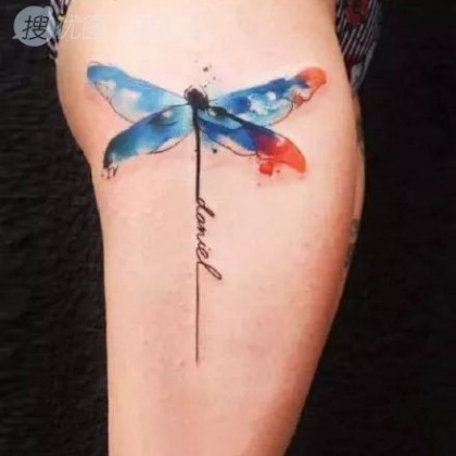彩绘纹身之昆虫、菊花、羽毛等炫彩纹身图案男手臂图片