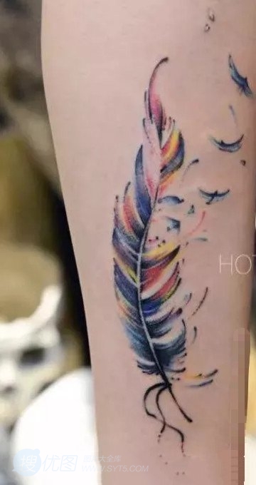 彩绘纹身之昆虫、菊花、羽毛等炫彩纹身图案男手臂图片图片