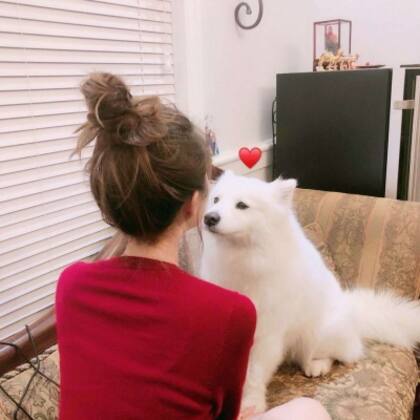 抱在手里的可爱猫咪图片，精致女生抱着宠物猫图片欣赏