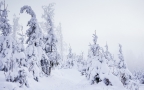 雪景桌面壁纸-皑皑白雪下的各地风景壁纸美图组图7