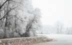 雪景桌面壁纸-皑皑白雪下的各地风景壁纸美图组图6