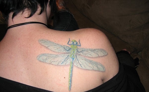 很多人喜欢的昆虫纹身，好看的女性蜻蜓纹身图案欣赏图片