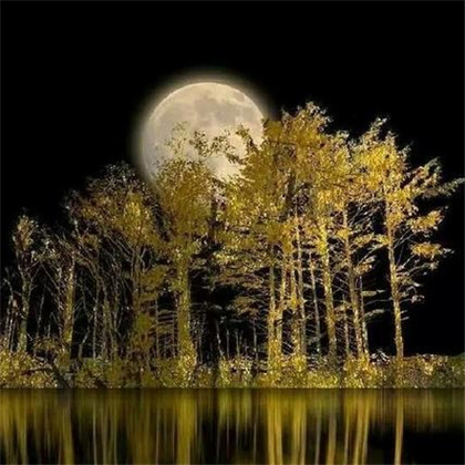中秋月亮图片，高挂天上圆又亮的明月唯美意境图片