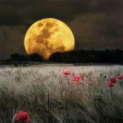 中秋月亮图片，高挂天上圆又亮的明月唯美意境图片