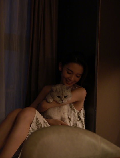 陈瑶带猫出行入住酒店图片，日常逗猫爱心满满