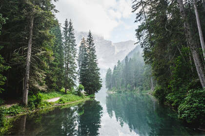 原始森林里如镜面一般的湖泊美景壁纸图片