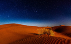 沙漠骆驼，漫天黄沙的沙漠景色壁纸图片组图5