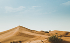 沙漠骆驼，漫天黄沙的沙漠景色壁纸图片组图6