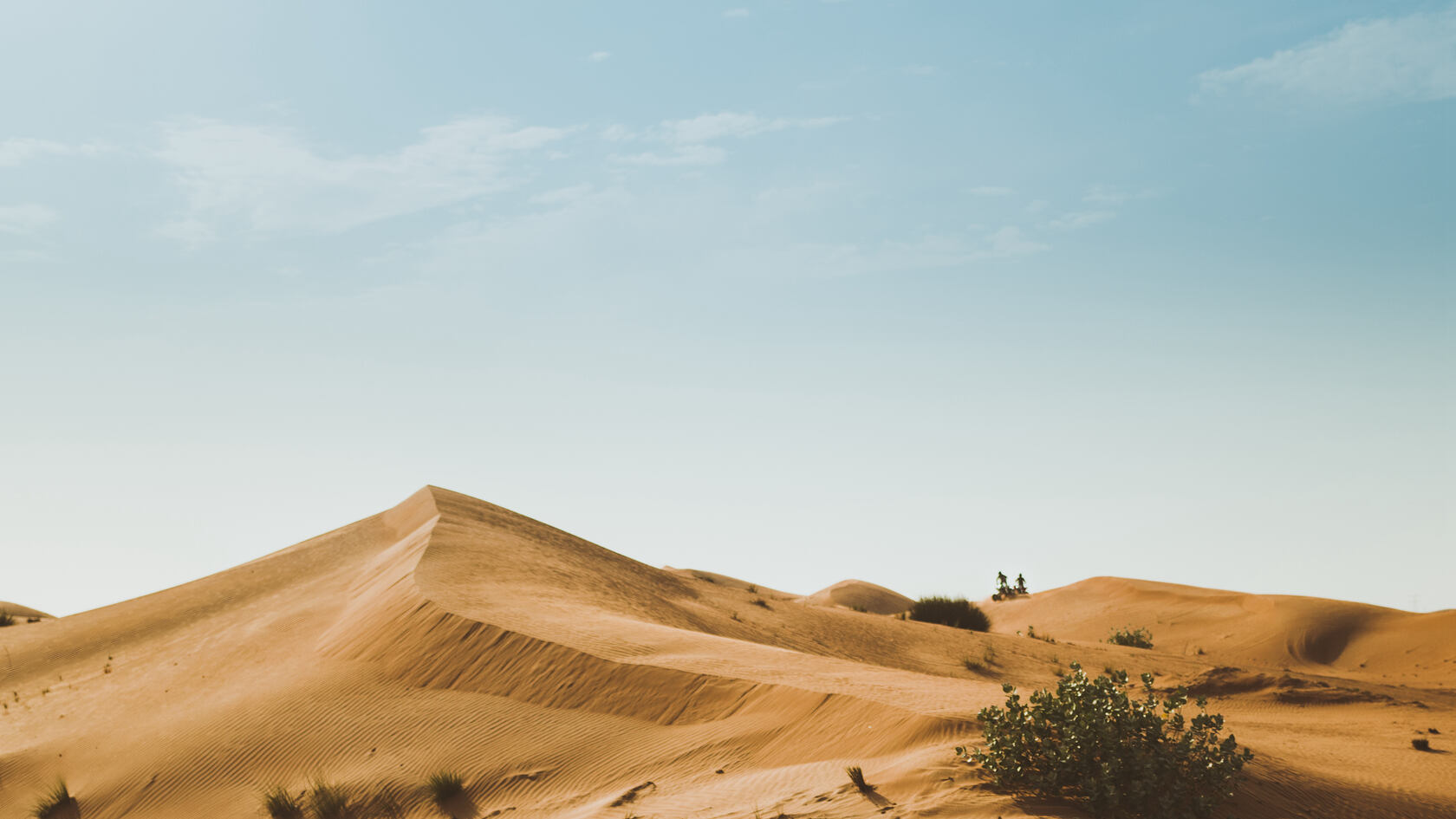 沙漠骆驼，漫天黄沙的沙漠景色壁纸图片套图6