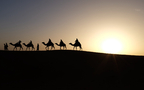 沙漠骆驼，漫天黄沙的沙漠景色壁纸图片组图10