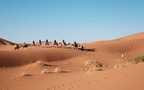 沙漠骆驼，漫天黄沙的沙漠景色壁纸图片组图12