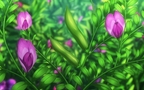 超美动漫场景桌面壁纸，二次元植物，风景壁纸图片组图1