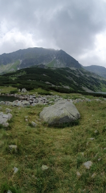 秋季满山黄叶的森林，唯美的雪山风景等高清手机4K壁纸图片组图10