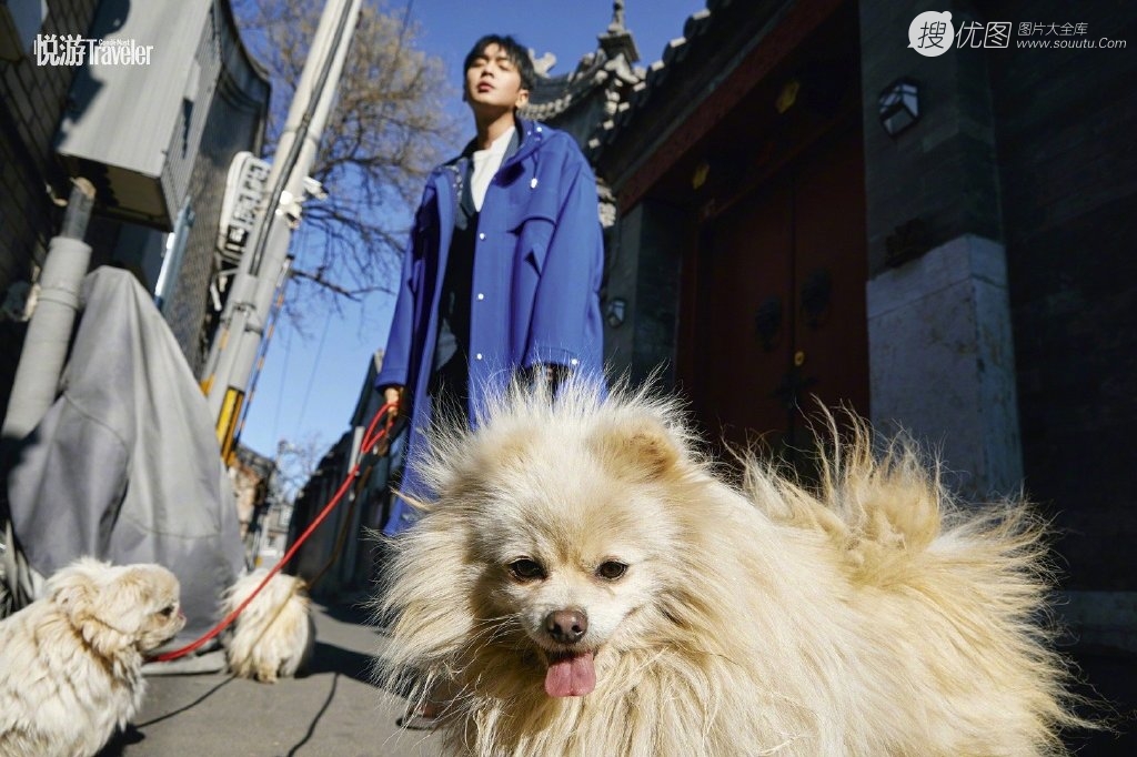 小爷有范儿，张若昀的北京胡同生活之旅最新杂志写真图集图片