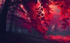 火红的颜色，震撼的色彩，唯美红色树叶、枫叶桌面壁纸图片组图1