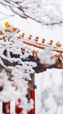 古代宫殿故宫外的唯美雪景高清手机壁纸