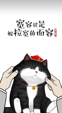 萌萌的油墨猫咪励志文字配图非主流手机壁纸组图4