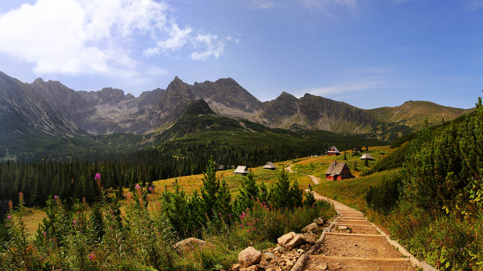 站在大山顶端傲视群山的唯美森林风景图片第8张图片