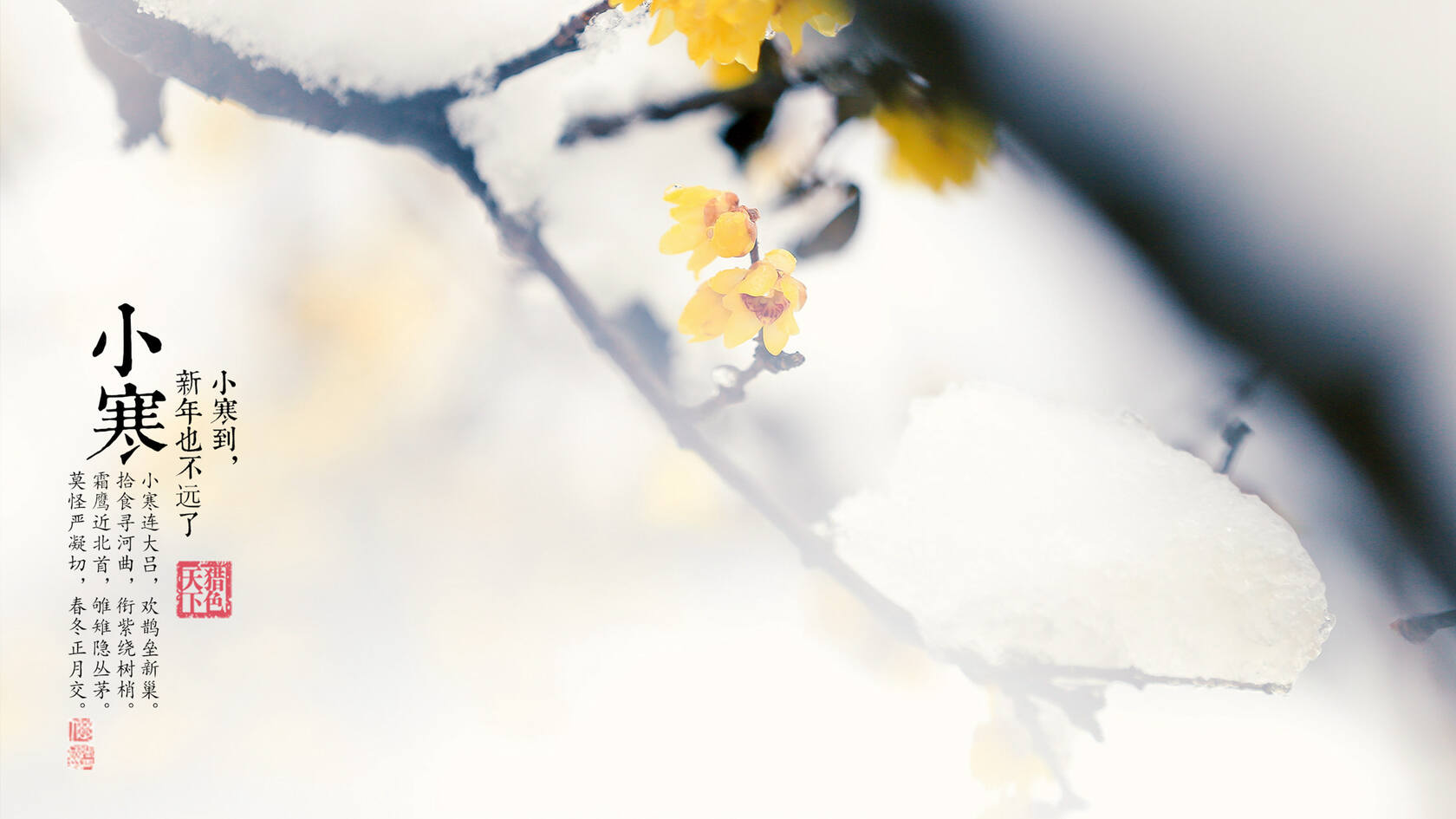 漫天白霜的唯美景色摄影二十四节气“小寒”高清4K壁纸第3张图片