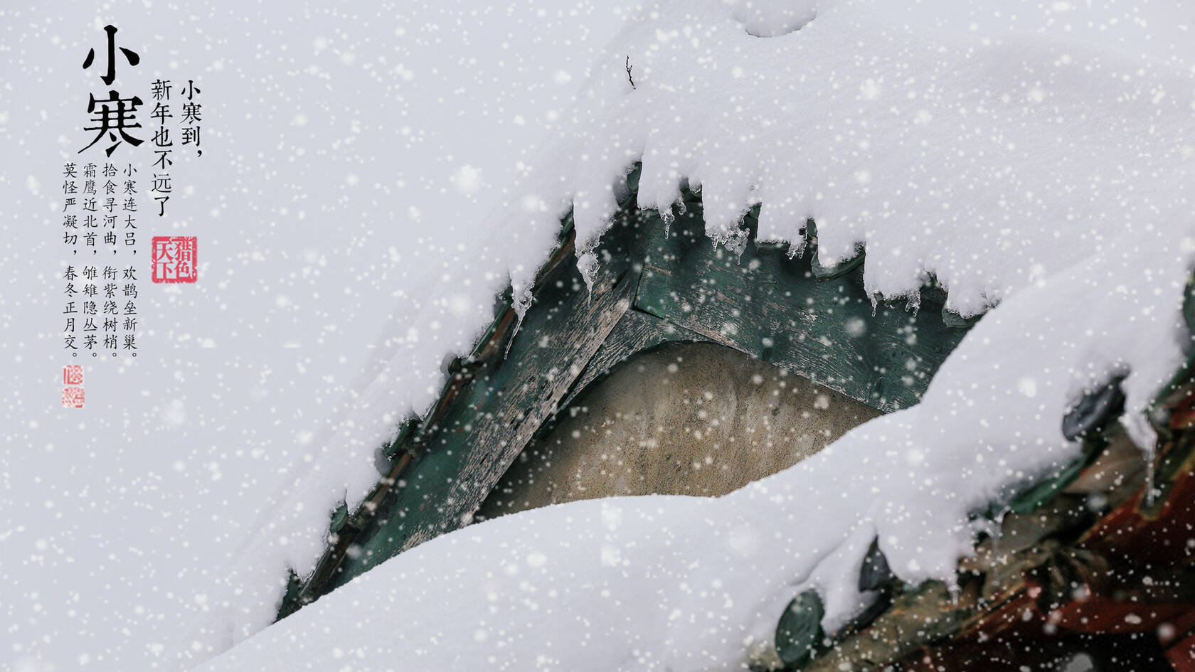 漫天白霜的唯美景色摄影二十四节气“小寒”高清4K壁纸第4张图片