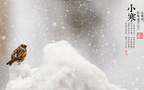 漫天白霜的唯美景色摄影二十四节气“小寒”高清4K壁纸组图5