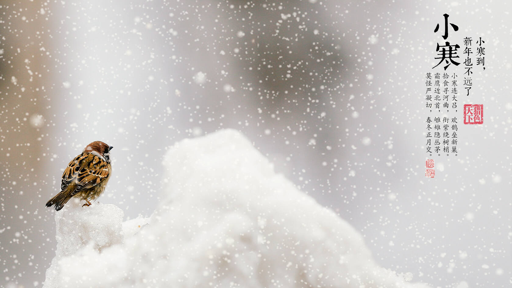 漫天白霜的唯美景色摄影二十四节气“小寒”高清4K壁纸套图5