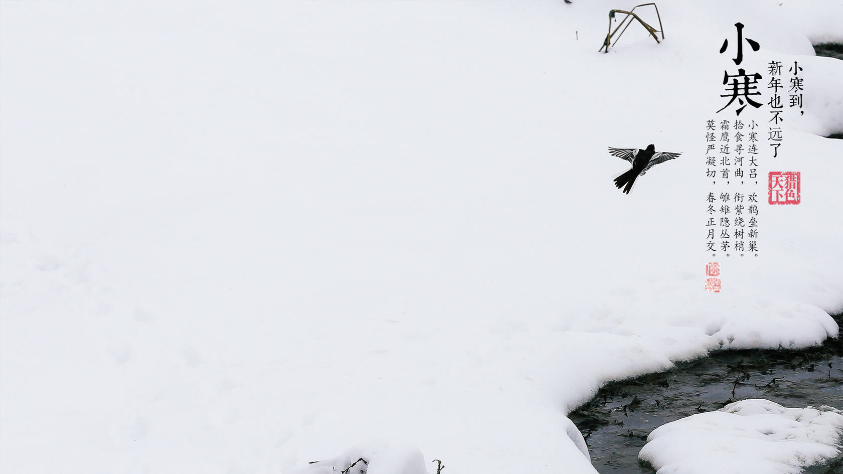 漫天白霜的唯美景色摄影二十四节气“小寒”高清4K壁纸套图6
