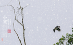 漫天白霜的唯美景色摄影二十四节气“小寒”高清4K壁纸组图8