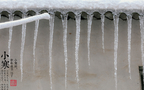 漫天白霜的唯美景色摄影二十四节气“小寒”高清4K壁纸组图13