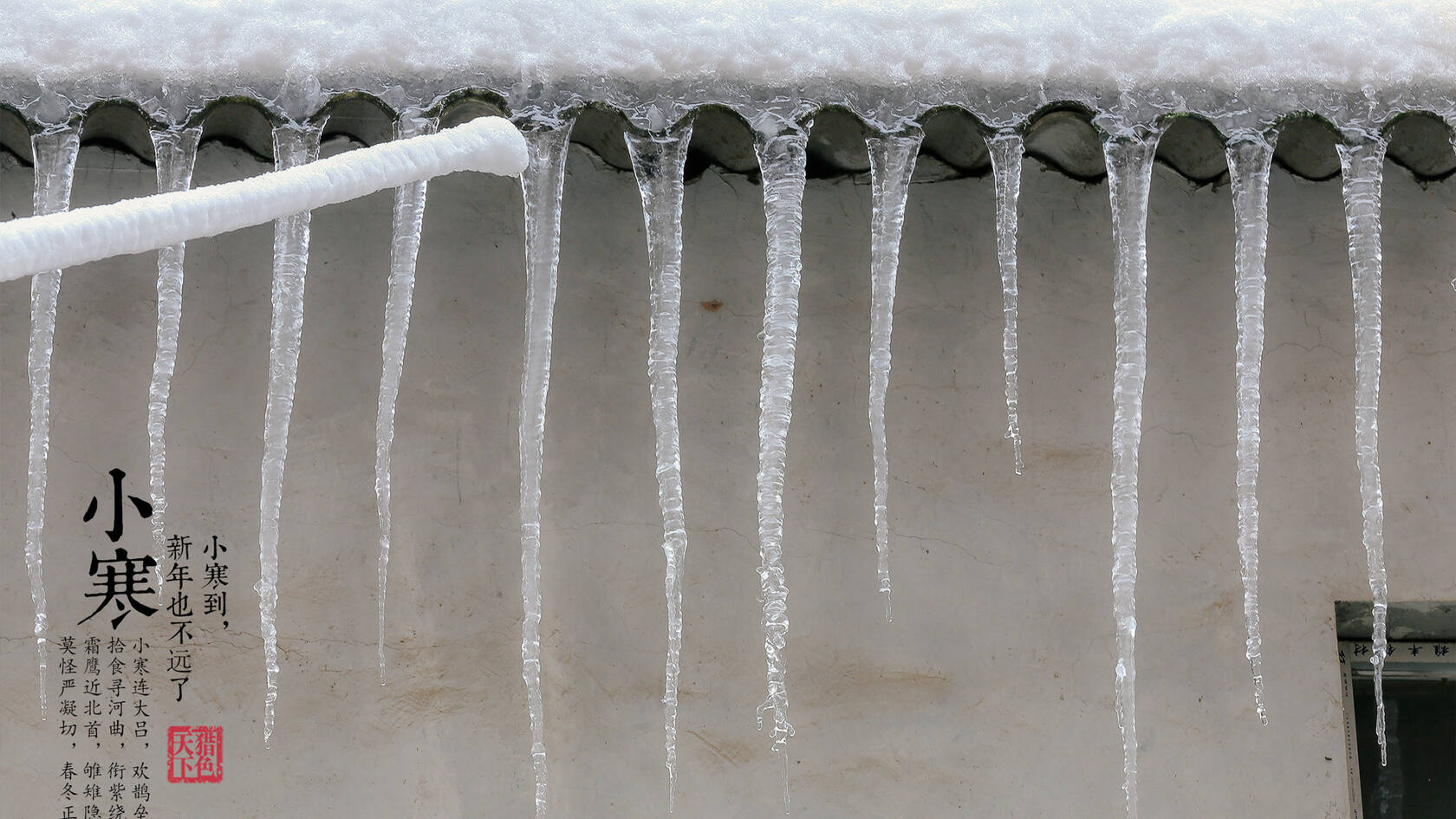漫天白霜的唯美景色摄影二十四节气“小寒”高清4K壁纸第13张图片