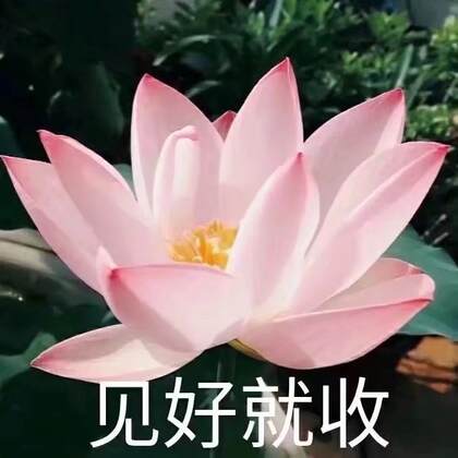 个性带文字的图片头像，搞怪的文字头像图片