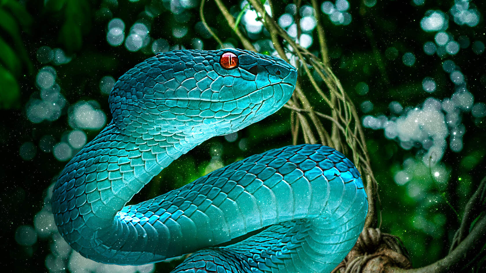 让人闻风丧胆的冷血动物“蛇”的动物壁纸图片套图1