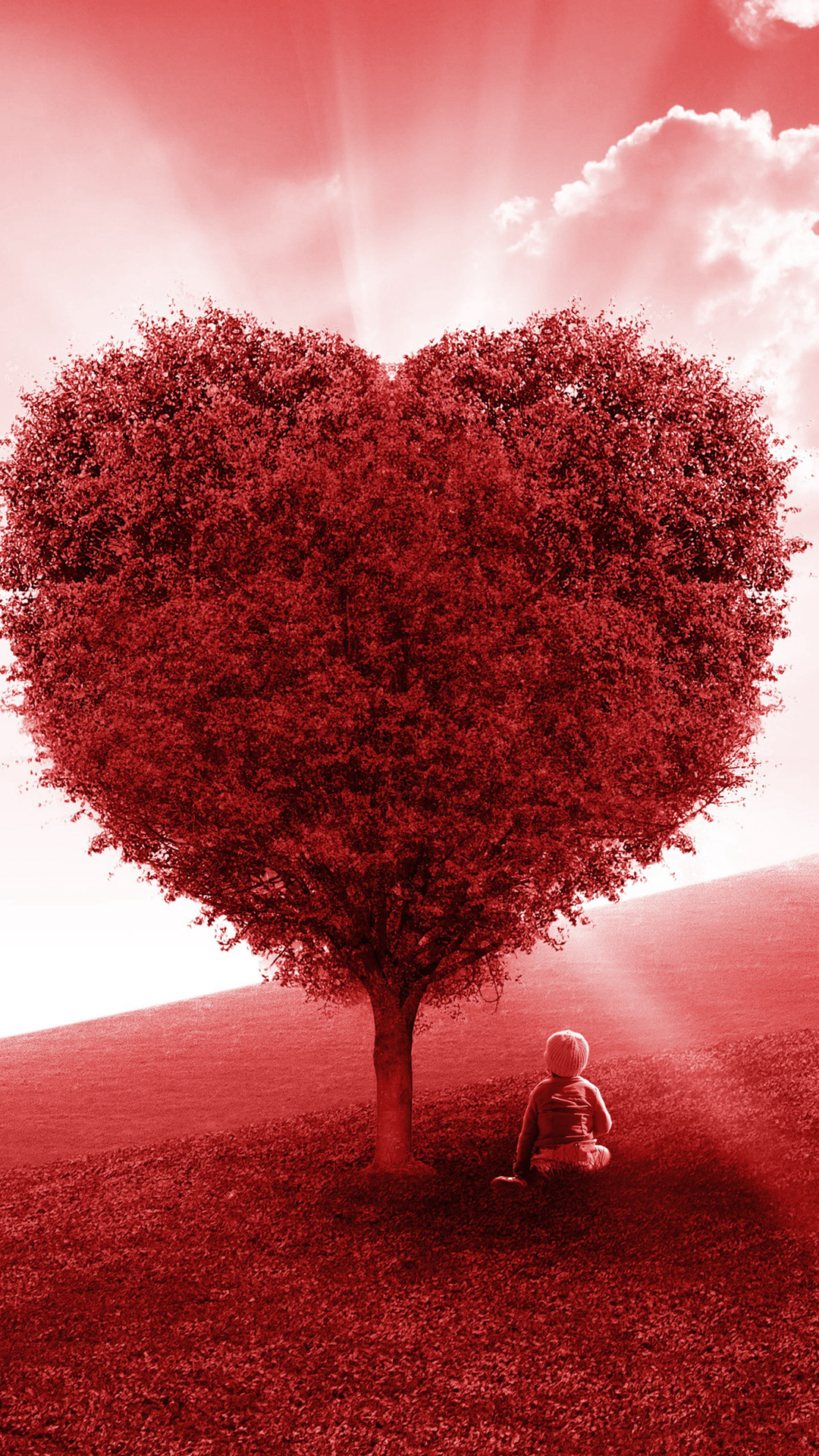 玫瑰园爱心树，满屏都是爱的爱情手机壁纸第1张壁纸