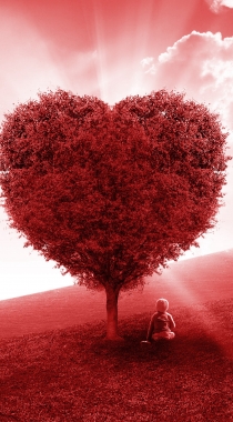 玫瑰园爱心树，满屏都是爱的爱情手机壁纸组图1
