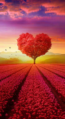 玫瑰园爱心树，满屏都是爱的爱情手机壁纸组图2