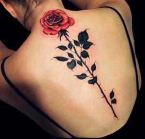 玫瑰花纹身图案，性感女人各部位玫瑰花纹身图案图片作品图片