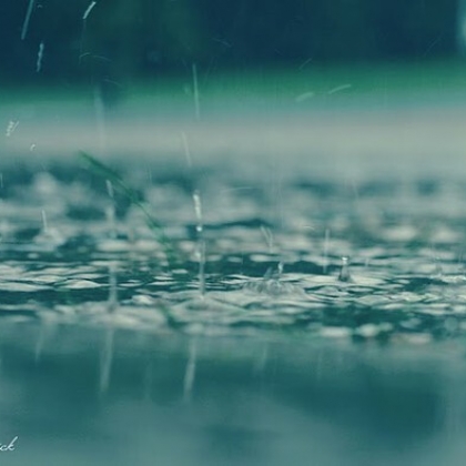 雨景，雨水落地与落叶等瞬间唯美意境图片