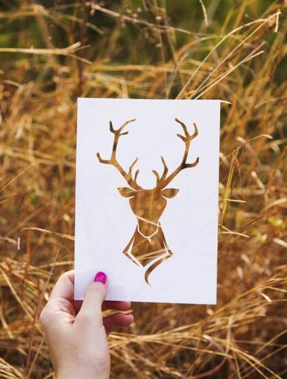 创意镂空剪纸，以大自然为背景的各种创意镂空剪纸图案图片