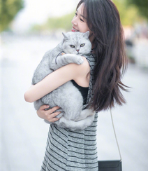 陈瑶抱着一只大肥猫上街唯美写真图片